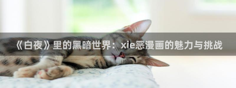 爱看漫画的同学动漫